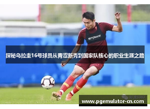 探秘乌拉圭16号球员从青涩新秀到国家队核心的职业生涯之路