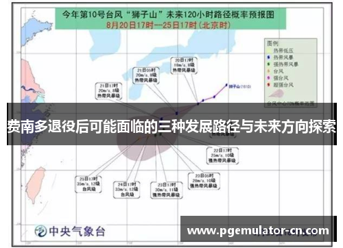 费南多退役后可能面临的三种发展路径与未来方向探索