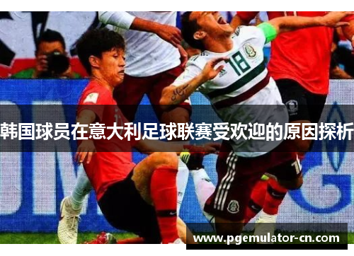 韩国球员在意大利足球联赛受欢迎的原因探析