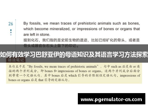 如何有效学习巴舒亚伊的母语知识及其语言学习方法探索
