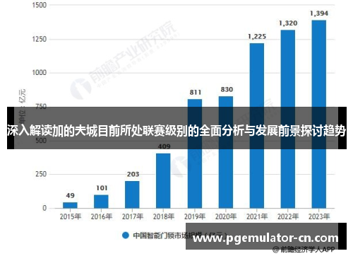 深入解读加的夫城目前所处联赛级别的全面分析与发展前景探讨趋势