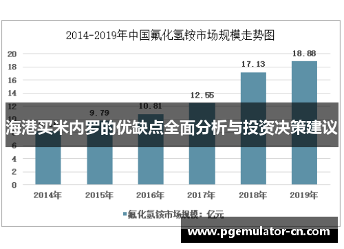 海港买米内罗的优缺点全面分析与投资决策建议 海港买米内罗的优缺点全面分析与投资决策建议