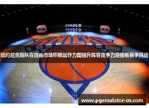 纽约尼克斯队在自由市场积极运作力图提升阵容竞争力迎接新赛季挑战 纽约尼克斯队在自由市场积极运作力图提升阵容竞争力迎接新赛季挑战