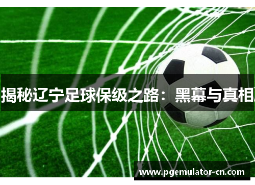 揭秘辽宁足球保级之路:黑幕与真相 揭秘辽宁足球保级之路:黑幕与真相