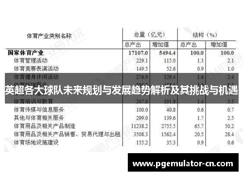 英超各大球队未来规划与发展趋势解析及其挑战与机遇 英超各大球队未来规划与发展趋势解析及其挑战与机遇