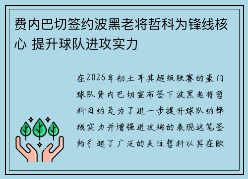 费内巴切签约波黑老将哲科为锋线核心 提升球队进攻实力 费内巴切签约波黑老将哲科为锋线核心 提升球队进攻实力